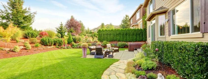 Budget Backyard Makeover Tips for Renovation and Remodeling