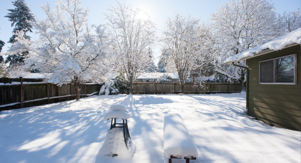 How winter changes your backyard and how to keep it alive.